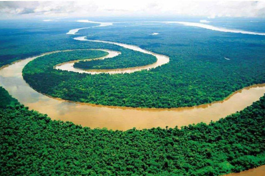 Tại sao đến nay vẫn chưa có một cây cầu nào dám bắc qua sông Amazon?