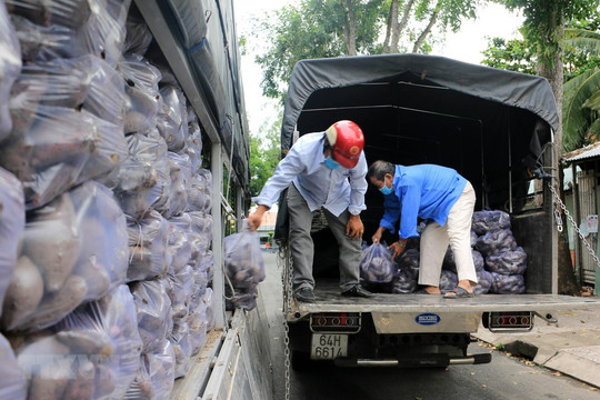 Tiêu thụ nông sản: Phối hợp giải quyết vướng mắc trong vận tải biển