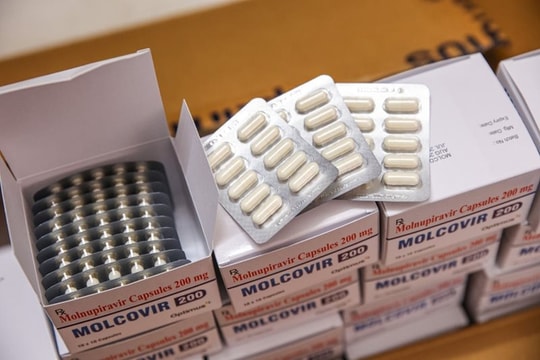 Bộ Y tế yêu cầu Hà Nội thanh tra việc bán thuốc Molnupiravir