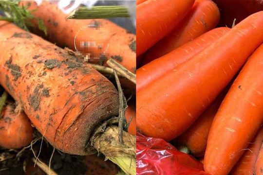 Khi mua cà rốt, nên chọn củ không có đất hay có dính đất tốt hơn? Sự khác biệt là gì, đừng mua nhầm sau khi đã tìm hiểu kỹ