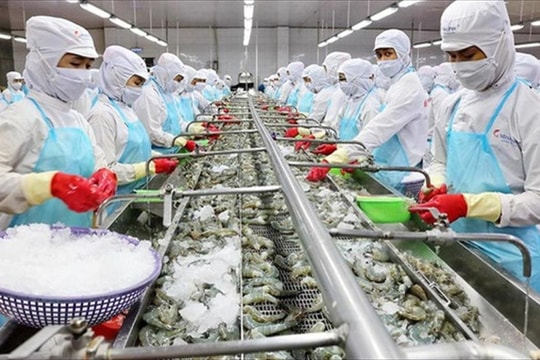 Xuất khẩu thủy sản năm 2022: Nhiều cơ hội và thách thức