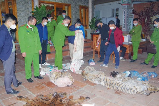 Thái Nguyên: Làm rõ vụ giết mổ hổ tại nhà Chủ tịch xã