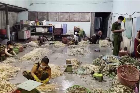 TPHCM: Phát hiện, thu giữ 8 tấn ngó sen ngâm trong hóa chất  