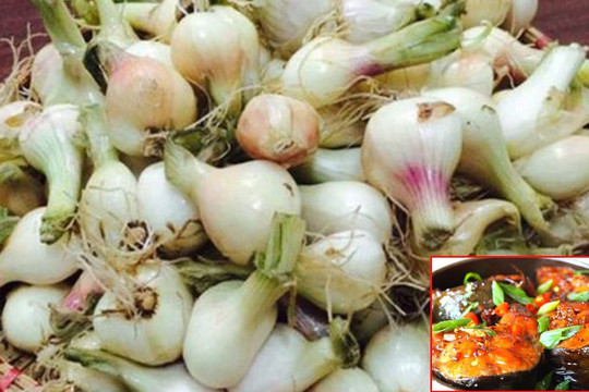 Muối dưa hành phần vỏ và rễ nhiều người thường vứt đi: Đừng lãng phí hãy tận dụng làm nguyên liệu nấu ăn ngon tuyệt