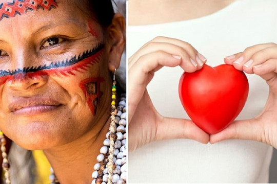 Tại sao tộc người Tsimane ở Amazon có trái tim khỏe nhất hành tinh?