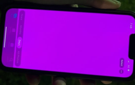 Nhiều iPhone 13 bị lỗi màn hình hồng
