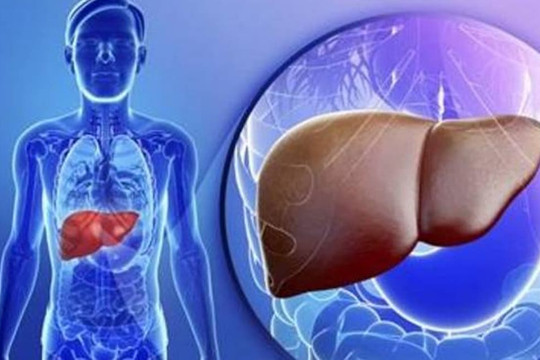 Người bị “gan nhiễm mỡ” có thể thường xuyên uống 3 loại nước này để giảm dầu mỡ, giảm cân, tốt cho gan