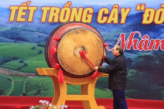 Chủ tịch nước phát động Tết trồng cây Xuân Nhâm Dần tại Phú Thọ