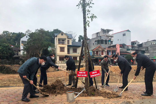 Cao Bằng: Hưởng ứng tết trồng cây “đời đời nhớ ơn Bác Hồ”