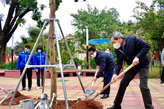 Quận Ba Đình hướng tới mục tiêu trồng 200.000 đến 250.000 cây xanh