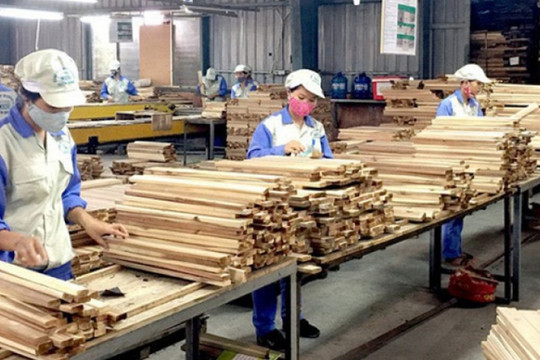 Ngành lâm nghiệp phấn đấu xuất khẩu 20 tỷ USD/năm