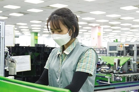 Dòng vốn đầu tư nước ngoài tiếp đà hồi phục