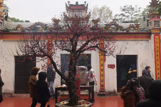 Không tổ chức lễ hội Khai ấn đền Trần Xuân Nhâm Dần 2022