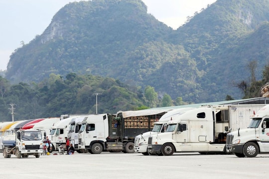 Lạng Sơn dừng tiếp nhận các phương tiện chở hoa quả tươi từ 16/2 - 25/2