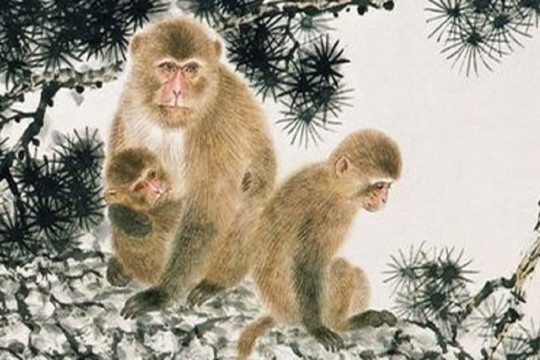 Tử vi tuần mới (14/2 - 20/2): top 3 con giáp vận may tứ phương, tài lộc hanh thông, lộc lá đầy nhà, sự nghiệp thăng tiến đến bất ngờ