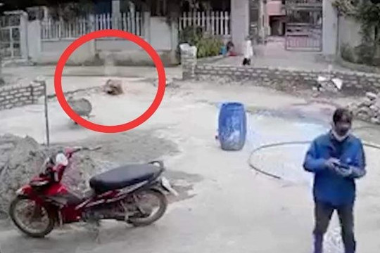Hung thủ dùng súng bắn chết người rồi tự sát, vụ án được giải quyết ra sao?