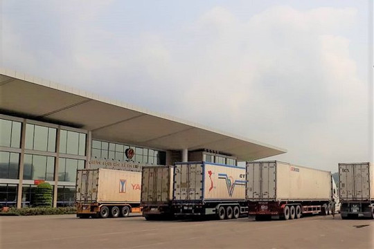 Tạm ngừng nhập khẩu hàng hóa qua cửa khẩu Lào Cai