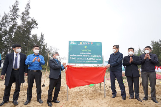 BIDV trồng 6.500 cây phòng hộ ven biển tại Nghệ An