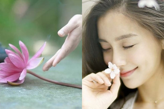 Chốn công sở, làm sao để là người tốt nhưng không phải người quá hiền
