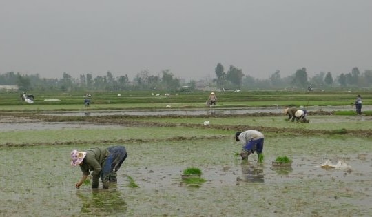 Những điểm nổi bật của ngành nông nghiệp tháng 2/2022