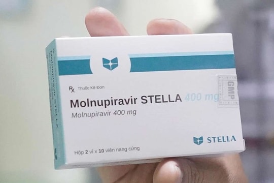 F0 tăng rất cao, Hà Nội phân bổ khẩn cấp 401.000 viên Molnupiravir

