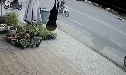 Bị giật điện thoại, nữ sinh nhanh trí đạp ngã xe hai tên cướp lấy lại tài sản