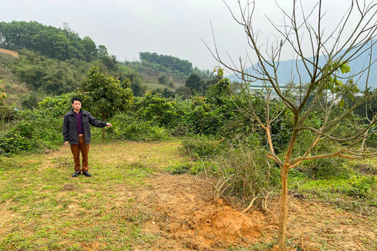 Vụ “Tranh chấp hợp đồng cho mượn tài sản quyền sử dụng đất” ở Quốc Oai, Hà Nội: Cần xem xét thấu tình, đạt lý