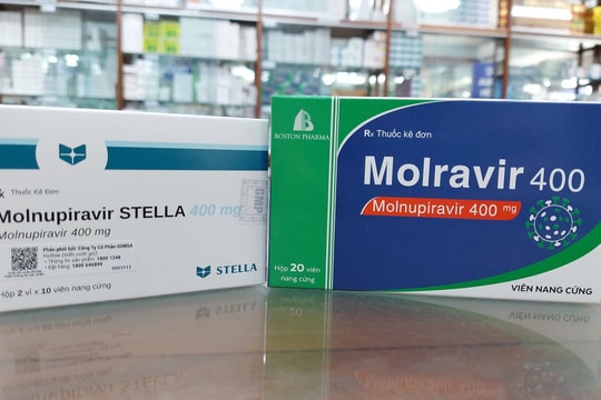 Đề xuất 2 phương án cung ứng thuốc Molnupiravir