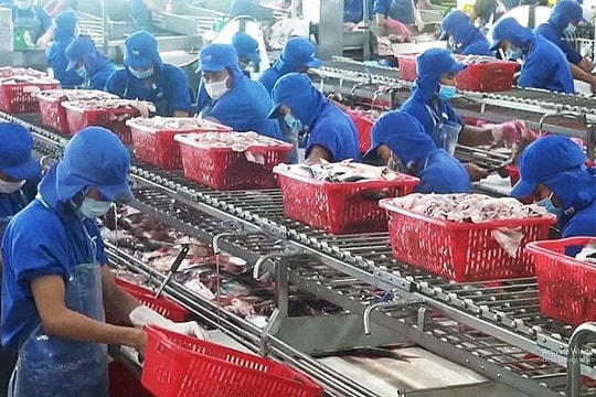 Doanh nghiệp thuỷ sản lo chi phí đội thêm từ 3 tỷ-14 tỷ đồng