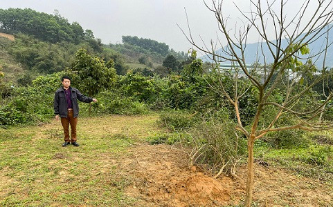 Vụ án “Tranh chấp hợp đồng cho mượn tài sản quyền sử dụng đất”: Cần xem xét thấu tình đạt lý