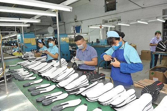 Ngành da giày Việt cần chủ động nguồn nguyên liệu trong sản xuất