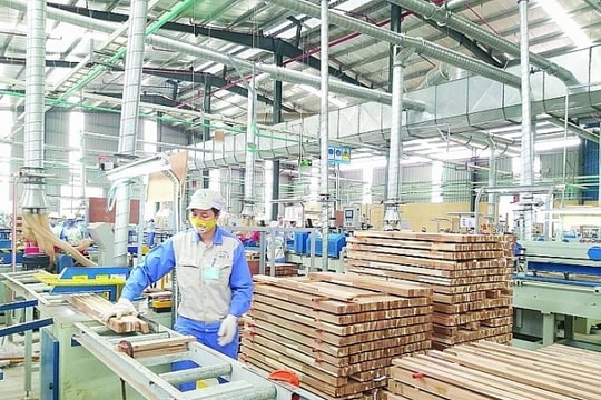 Cái 'bắt tay' của 5 hiệp hội để phát triển ngành gỗ
