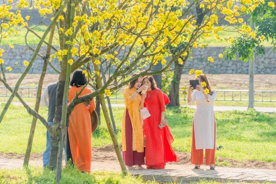 Huế ban hành kế hoạch xây dựng 'xứ sở mai vàng của Việt Nam'