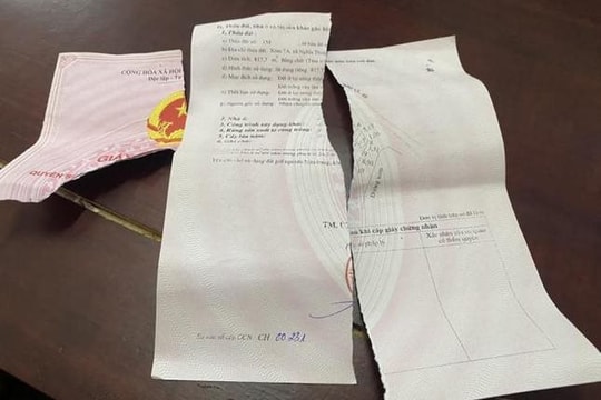 Rút súng thị uy, xé bìa đỏ của người bán đất bị xử lý thế nào?