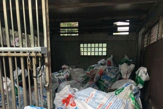 Phát hiện xe khách chở gần 1,6 tấn heo sữa thối từ Quảng Ngãi vào TPHCM
