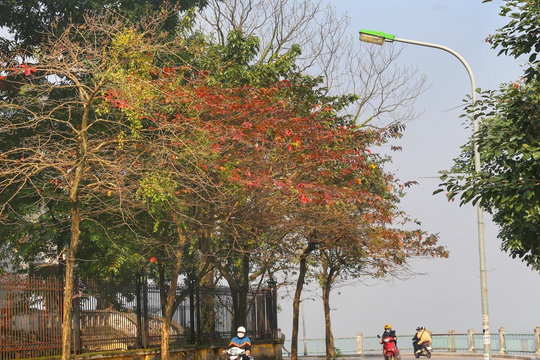 Thời tiết ngày 9/3: Bắc Bộ sáng sương mù, trưa chiều hửng nắng