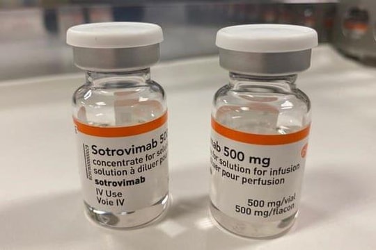 Tin vắn thế giới ngày 11/3: Thuốc trị COVID-19 Strovimab có thể hình thành đột biến kháng thuốc