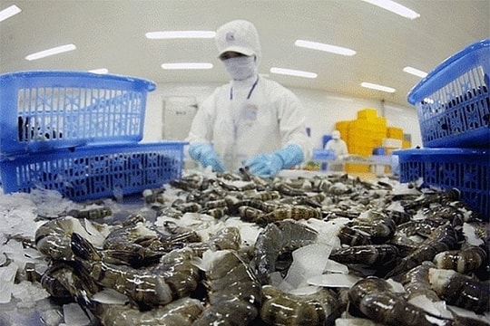 Năm 2022, phấn đấu kim ngạch xuất khẩu tôm đạt 4 tỷ USD
