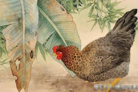 Những con giáp nữ này giống như những con 'hổ cái', nhưng vẫn có người yêu thương và có điều kiện sống của họ vượt trội