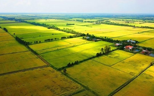Chuyển mục đích sử dụng đất 4 tỉnh Thái Nguyên, Cao Bằng, Bình Thuận, Bắc Giang