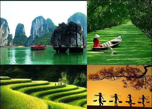 Tổ chức Cuộc thi và Triển lãm Ảnh nghệ thuật Việt Nam