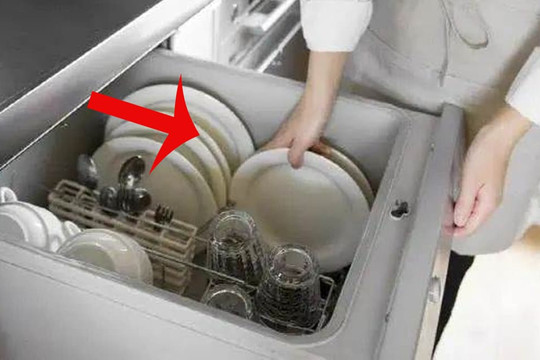 Không cần thiết phải sắm hai thiết bị này trong nhà bếp, nhiều người không nghe lời thuyết phục đã tiếc hùi hụi khi mua về nhà
