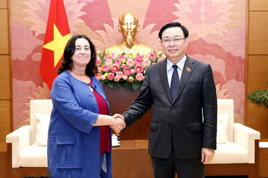 Phó Chủ tịch WB: Sẽ có thông tin, tư vấn kỹ thuật để Việt Nam đưa ra quyết sách chiến lược