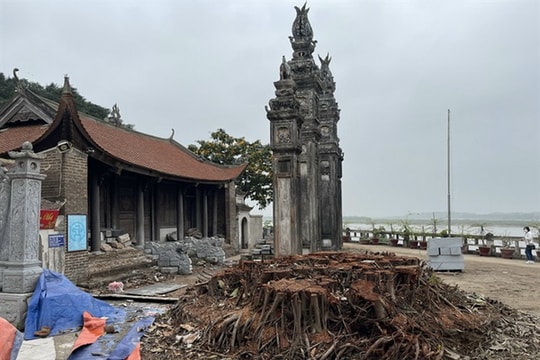 Hà Nội: Kiểm tra việc tu bổ Di tích quốc gia đặc biệt đình Chèm