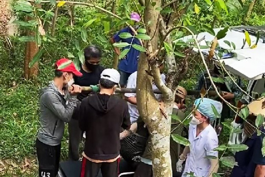 Rủ nhau tắm suối, hai thanh niên đuối nước 

