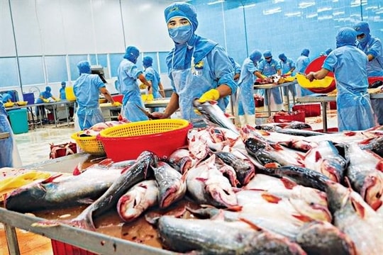 Quý 1/2022, xuất khẩu thủy sản khôi phục mạnh mẽ