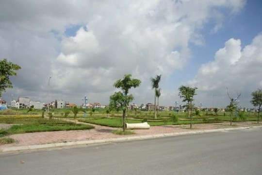 Bỏ cọc có thể không được tham gia đấu giá quyền sử dụng đất trong 5 năm