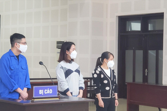 Nữ giám đốc tổ chức cho người Trung Quốc “núp bóng” chuyên gia nhập cảnh trái phép