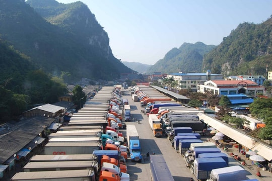 Chuyển hướng xuất khẩu nông sản đòi hỏi phải có lộ trình