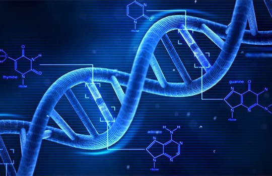 Giải mã thành công toàn bộ gene người sau hơn hai thập kỷ